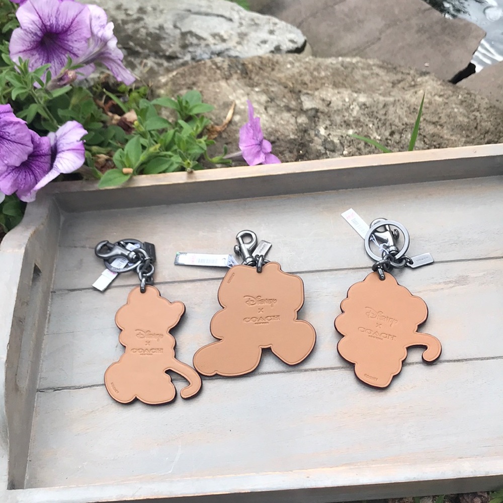 Disney x Coach Key Keychains - Picture 2 of 3
